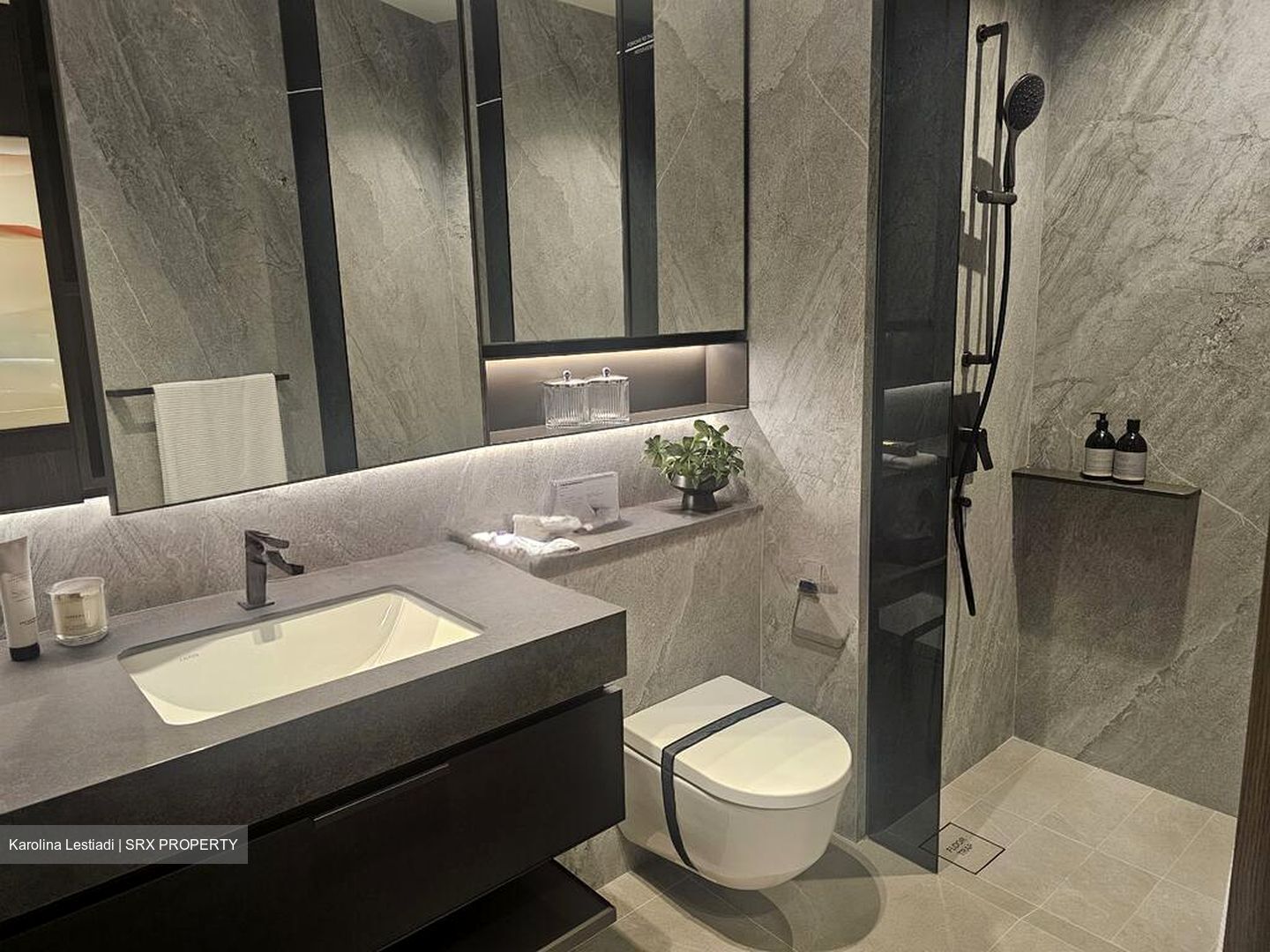 Promenade Peak (D3), Condominium #568906571